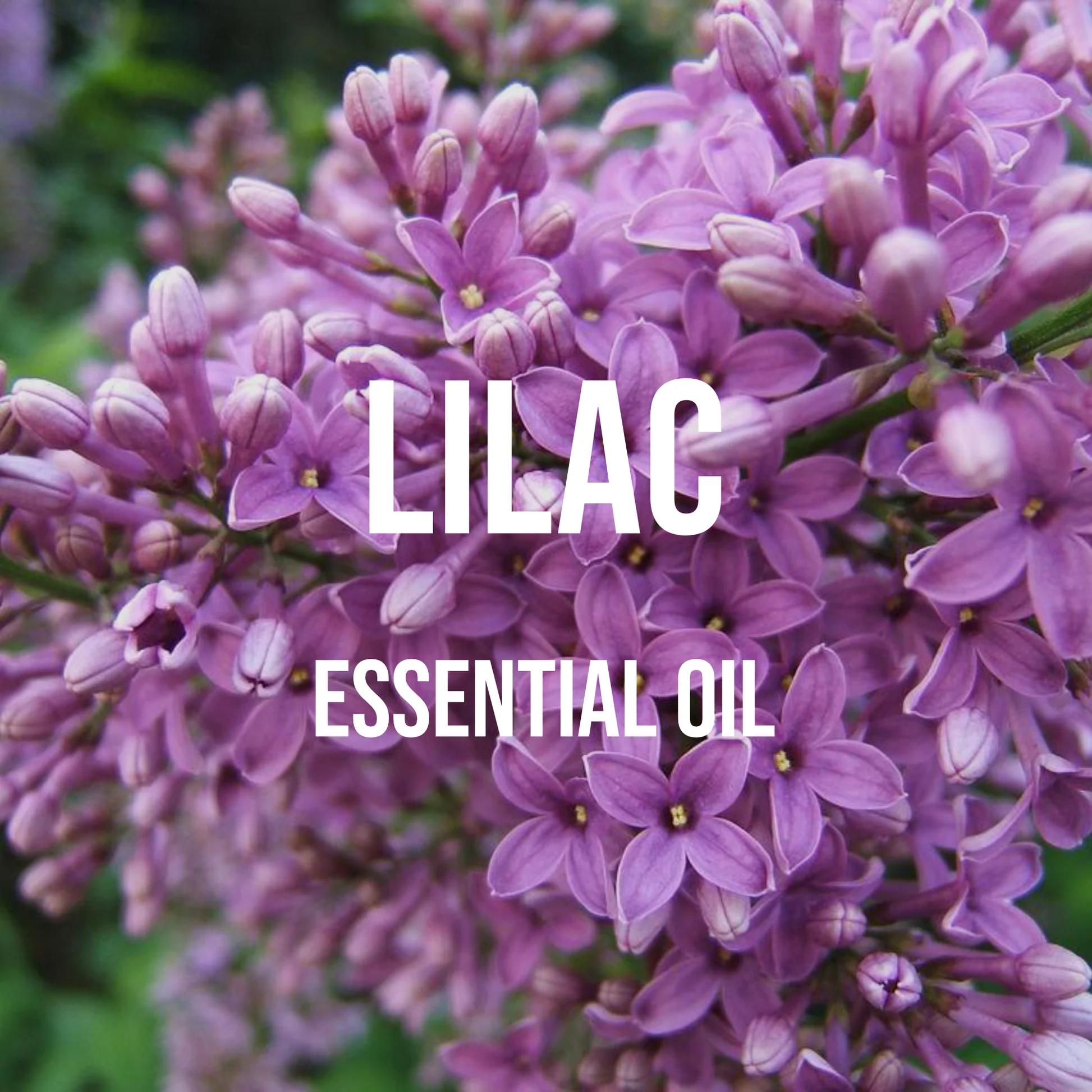 Lilac Essential Oil Premium Gr - огляд і ціна Candle Supplies Essential Oils