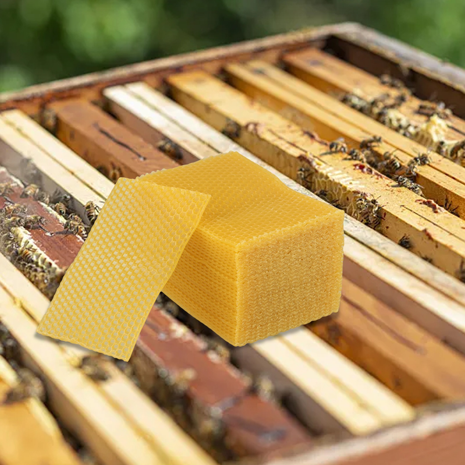 5.24 X 3.54 Beehive Foundation - огляд і ціна Beeswax Sheet Roll